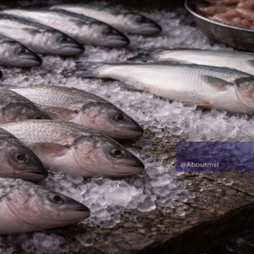 أسعار الأسماك اليوم تزامناً مع شم النسيم.. ما هو سعر البلطي في سوق العبور؟